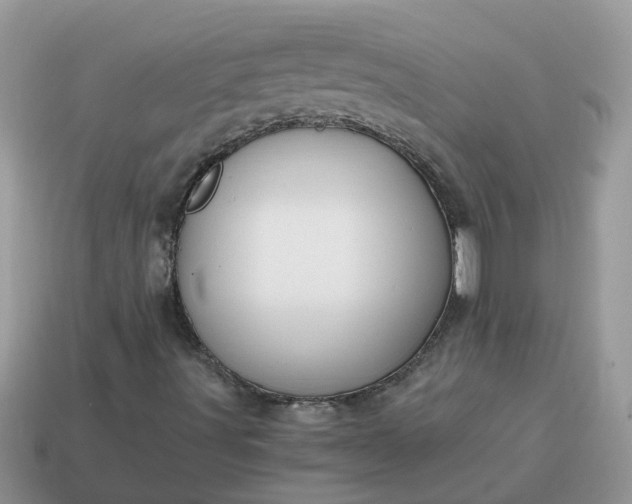 X0000115041491200911091353