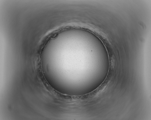 X0000115041494200911091353