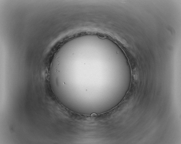 X0000115041495200911091353