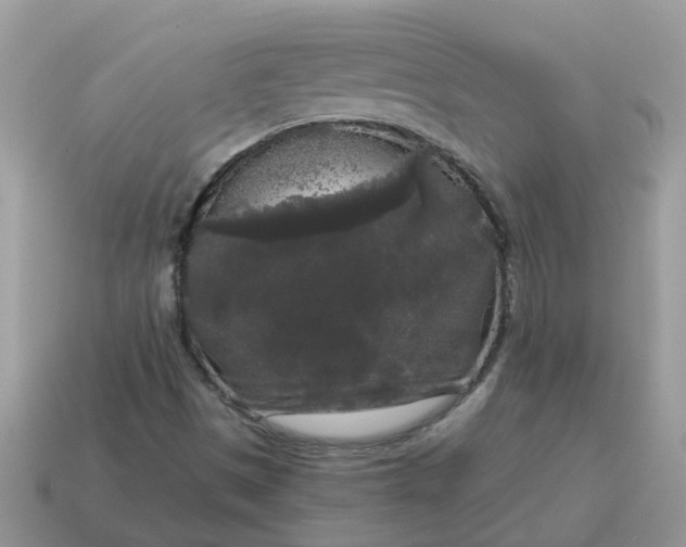 X0000115041497200911091353