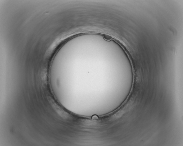 X0000115041499200911091353