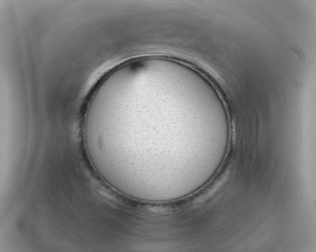 X0000115041501200911091353
