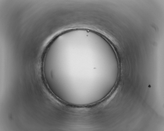X0000115041502200911091353