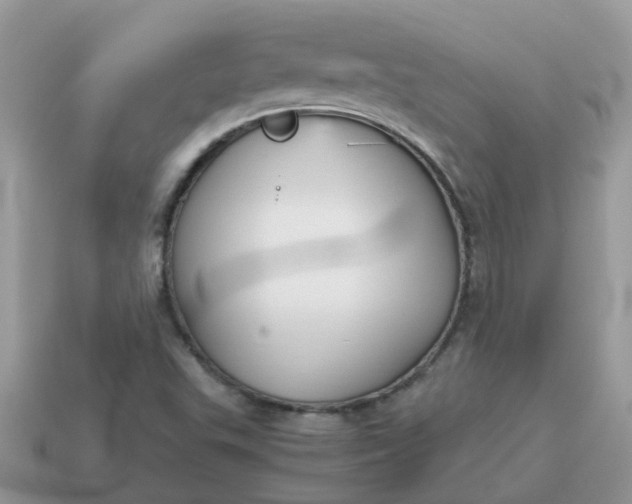 X0000115041503200911091353