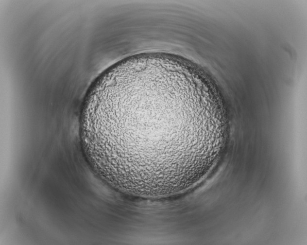 X0000115041505200911091353