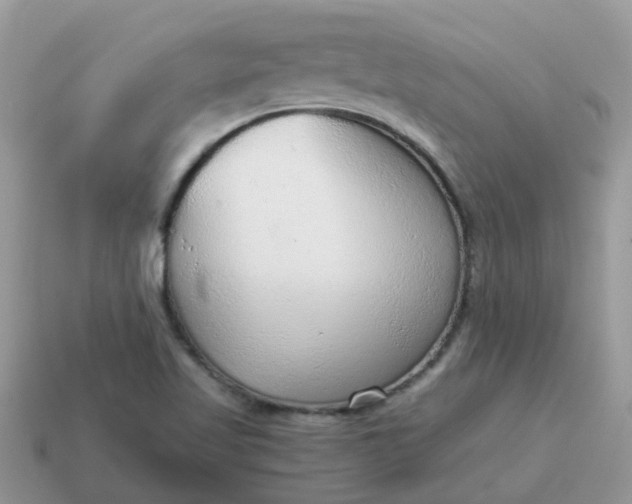 X0000115041509200911091353