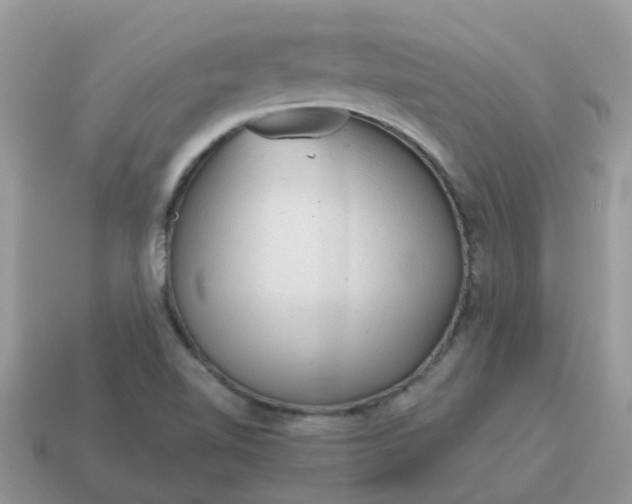 X0000115041510200911091353