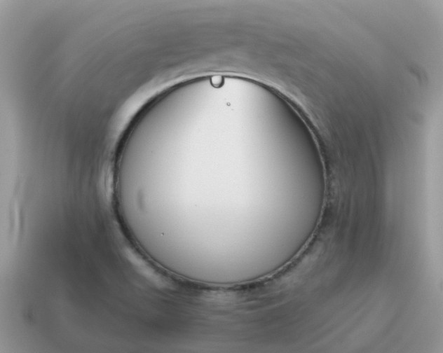 X0000115041511200911091353