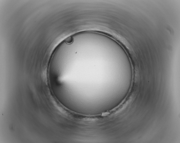 X0000115041513200911091353