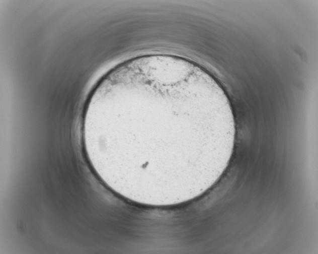 X0000115041514200911091353