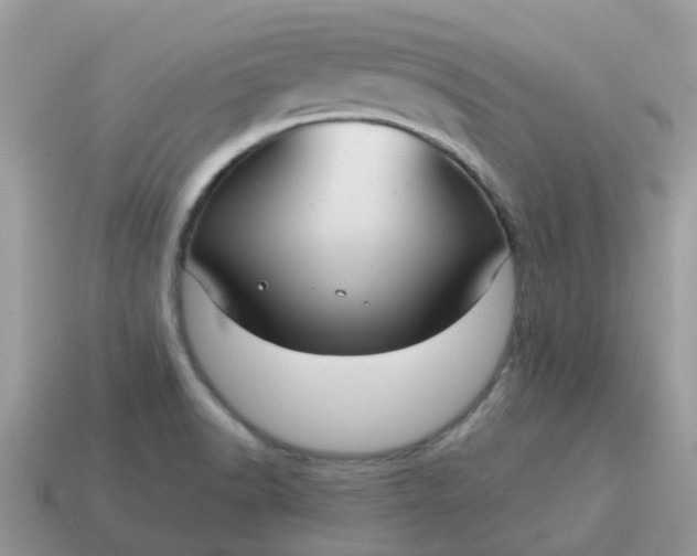 X0000115041518200911091354