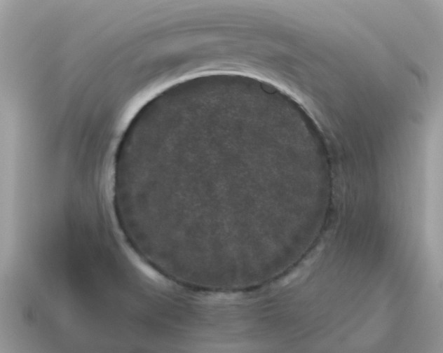 X0000115041519200911091354