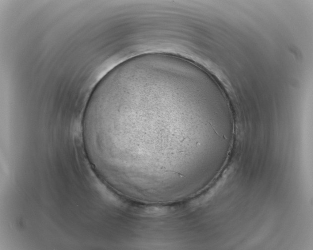 X0000115041521200911091354