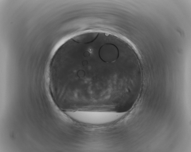 X0000115041522200911091354