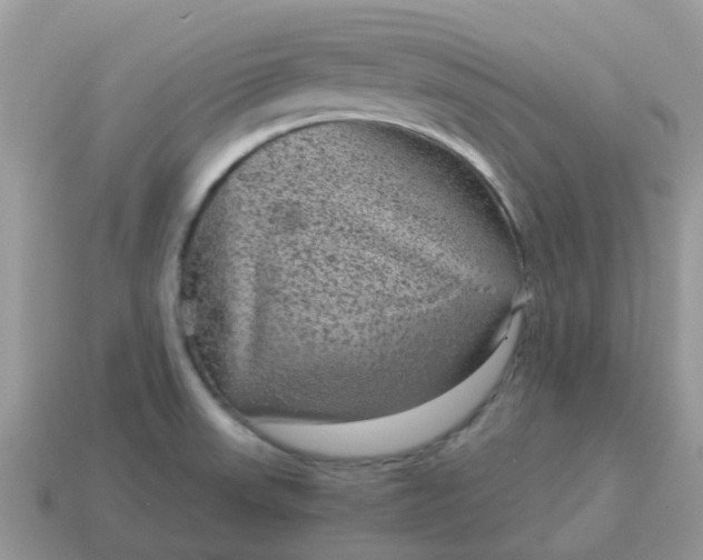 X0000115041523200911091354