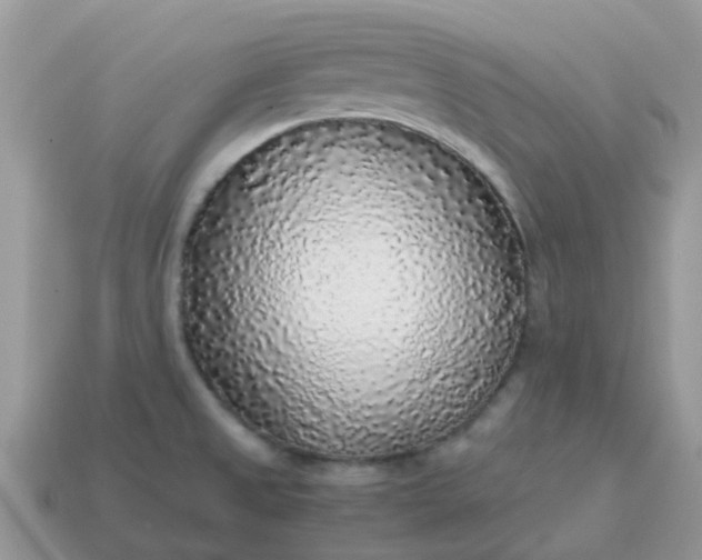 X0000115041525200911091354