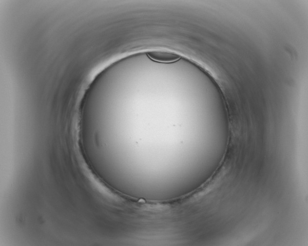 X0000115041526200911091354