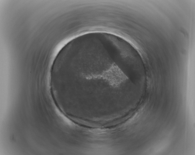 X0000115041527200911091354