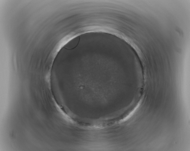 X0000115041529200911091354