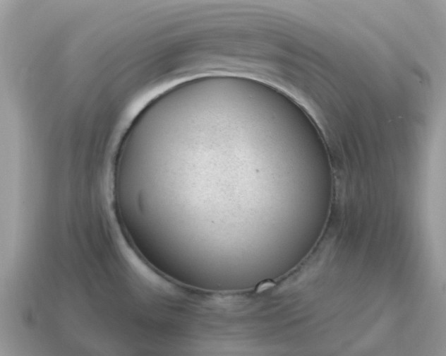 X0000115041531200911091354