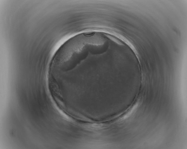 X0000115041533200911091354