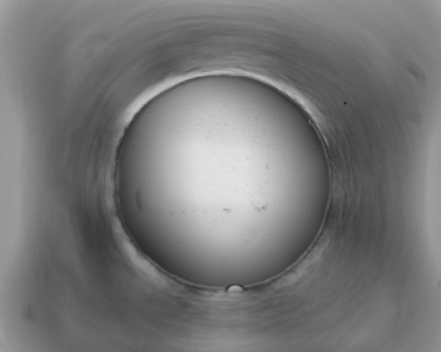 X0000115041534200911091354