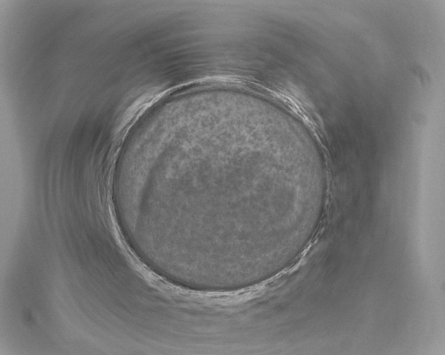 X0000115040001200911161537