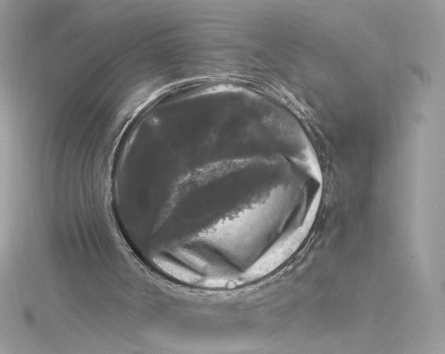 X0000115040002200911161537