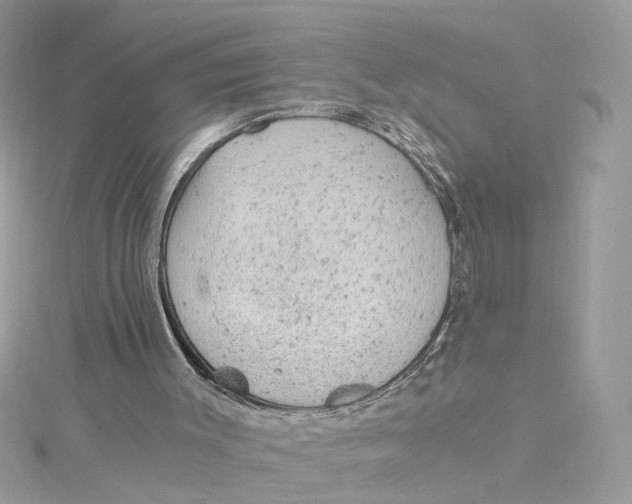 X0000115040003200911161537