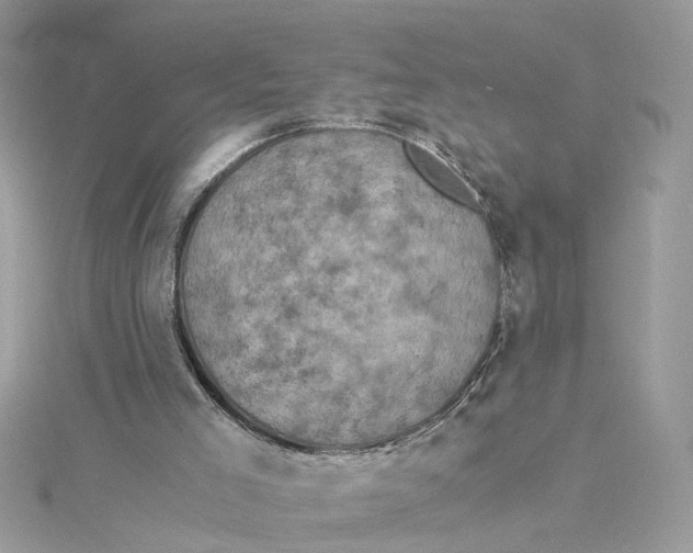 X0000115040005200911161537