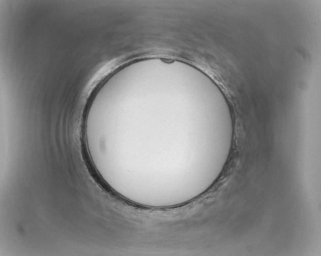 X0000115040007200911161537