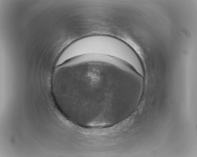 X0000115040009200911161537