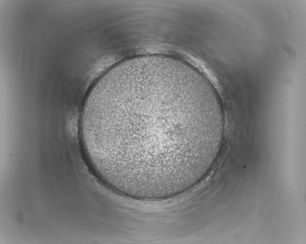 X0000115040010200911161537