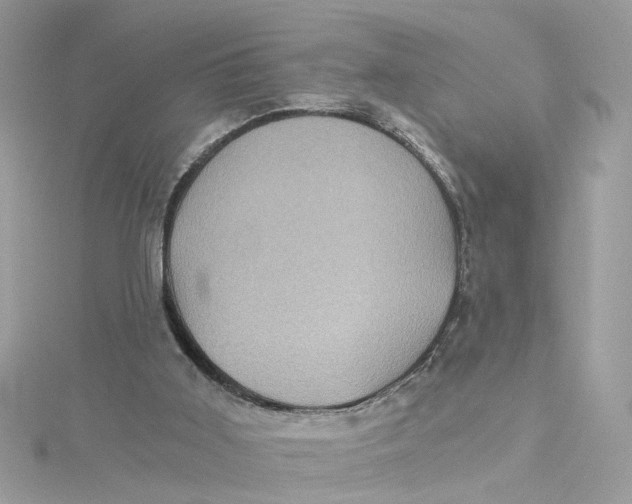 X0000115040011200911161537