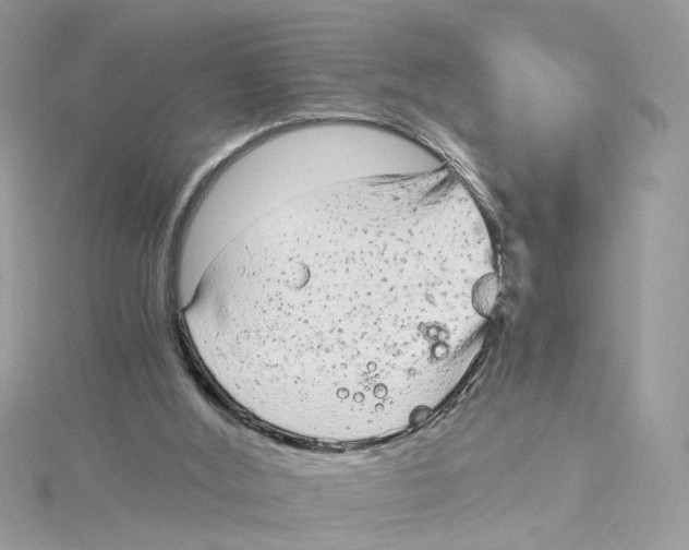 X0000115040012200911161537