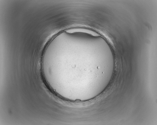 X0000115040015200911161537