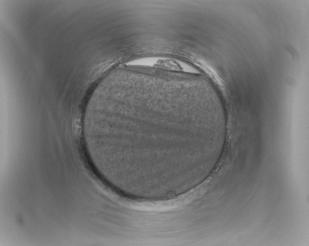 X0000115040017200911161537