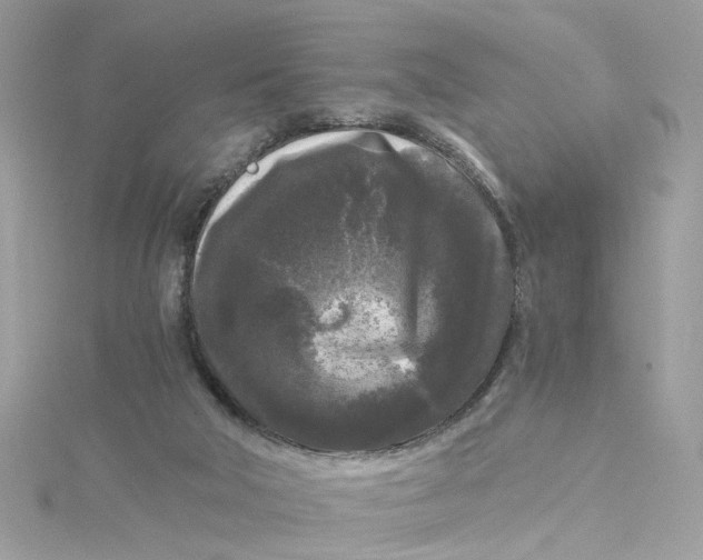 X0000115040018200911161537