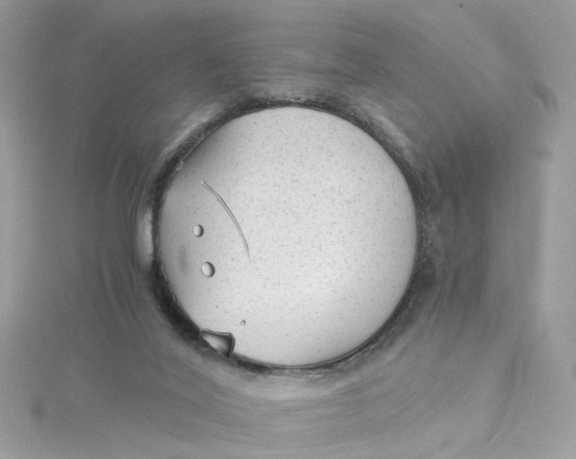 X0000115040020200911161537