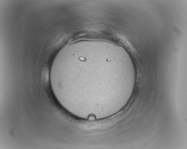 X0000115040021200911161537