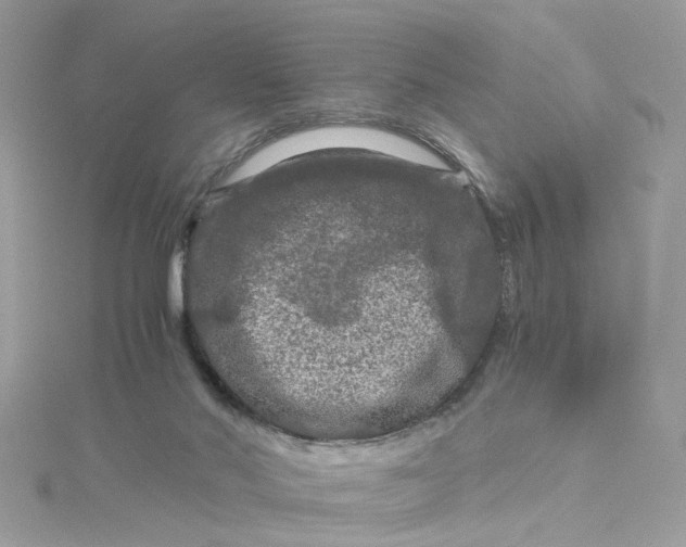 X0000115040022200911161537