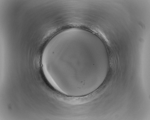 X0000115040023200911161537