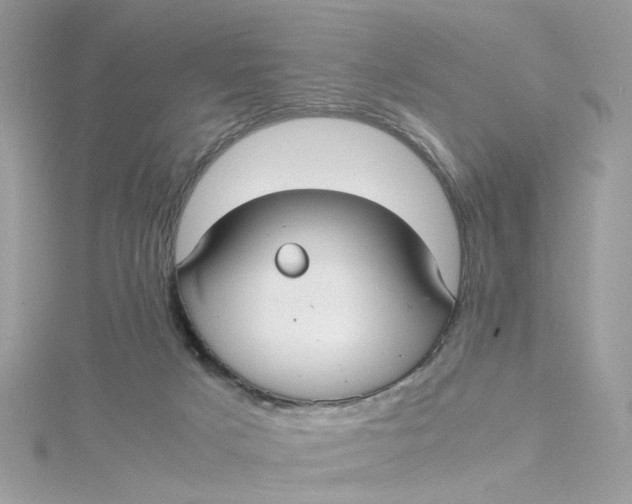 X0000115040025200911161536