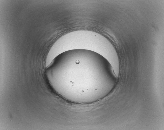 X0000115040029200911161536