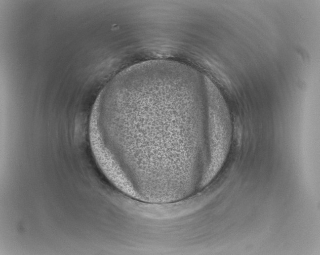 X0000115040030200911161536