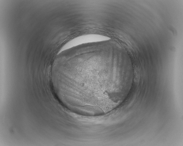 X0000115040034200911161536