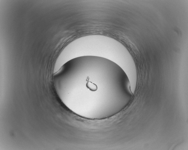 X0000115040035200911161536