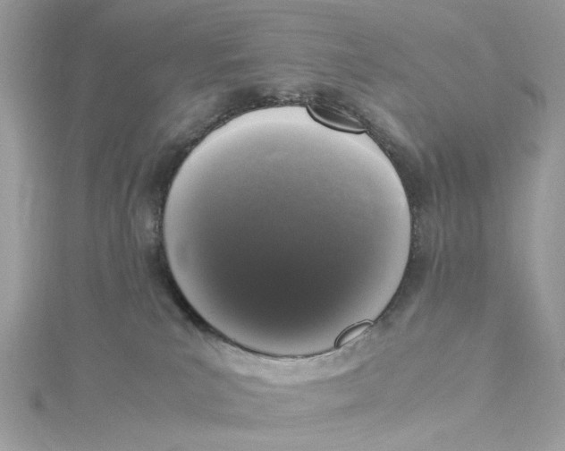 X0000115040039200911161536