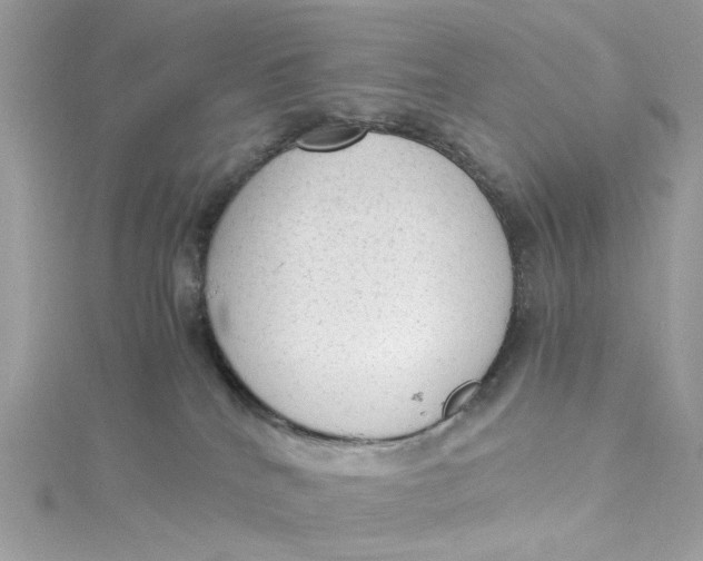 X0000115040040200911161536