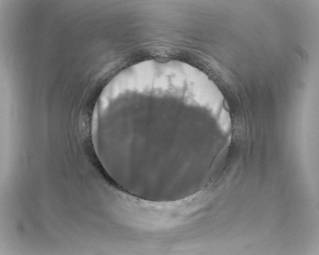 X0000115040043200911161536